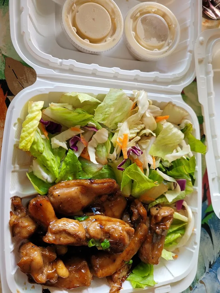 Chicken Teriyaki with Salad